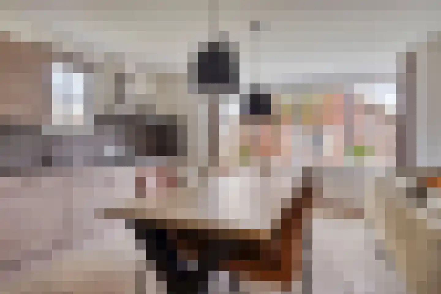 Klein Vink 4 2310 Arcen thumbnail 10