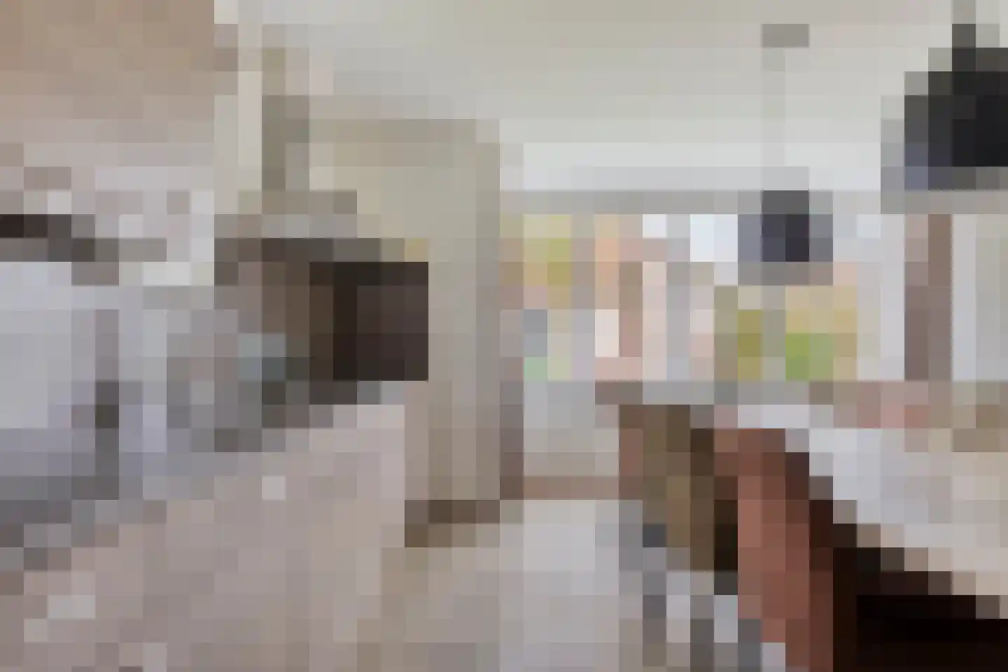 Klein Vink 4 2310 Arcen thumbnail 13