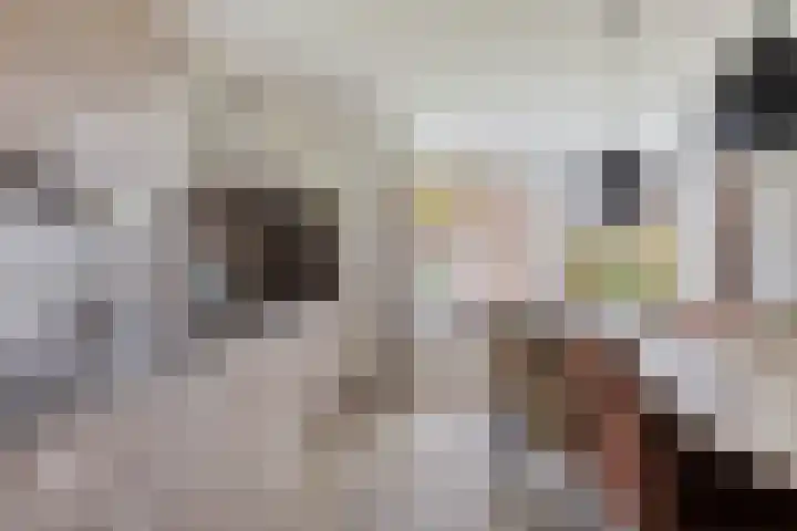 Klein Vink 4 2310 Arcen thumbnail 13