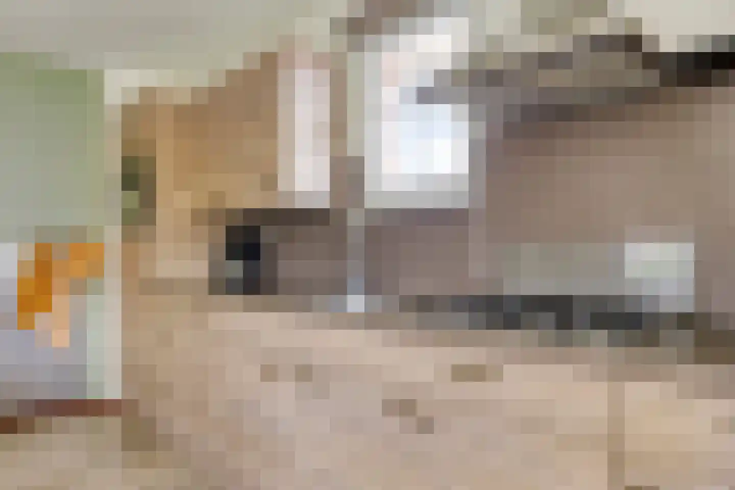 Klein Vink 4 2310 Arcen thumbnail 15