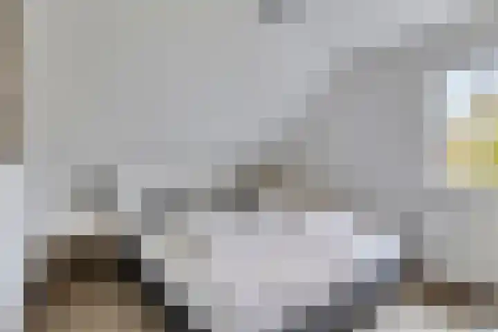 Klein Vink 4 2310 Arcen thumbnail 22