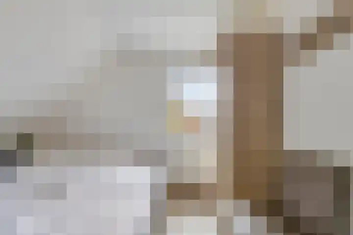 Klein Vink 4 2310 Arcen thumbnail 23