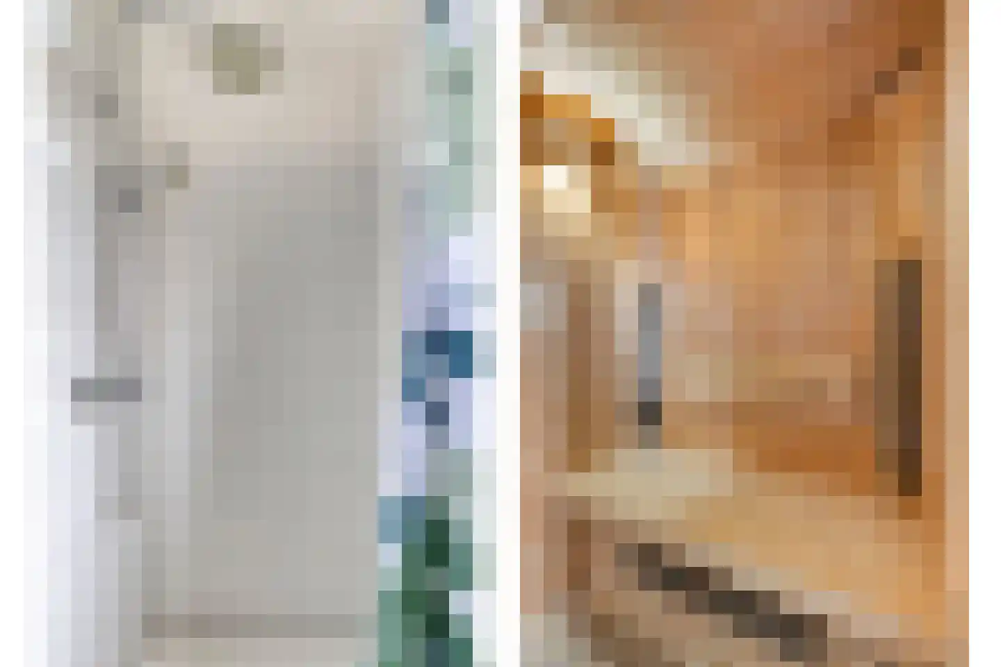 Klein Vink 4 2310 Arcen thumbnail 25