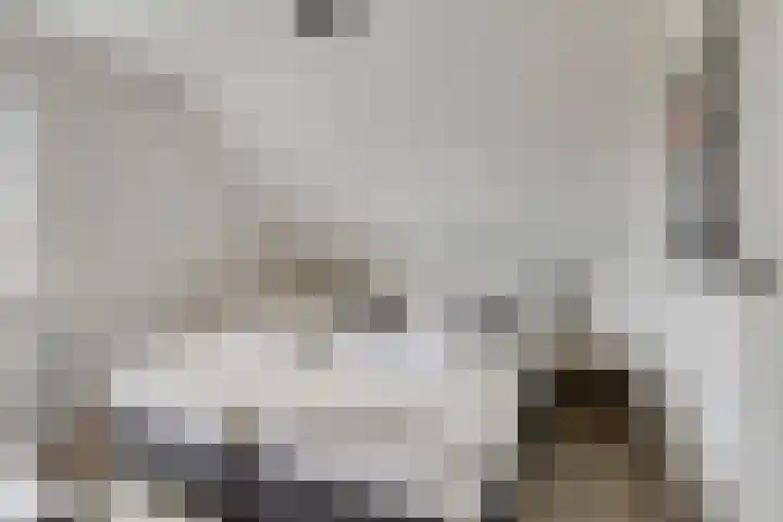 Klein Vink 4 2310 Arcen thumbnail 27