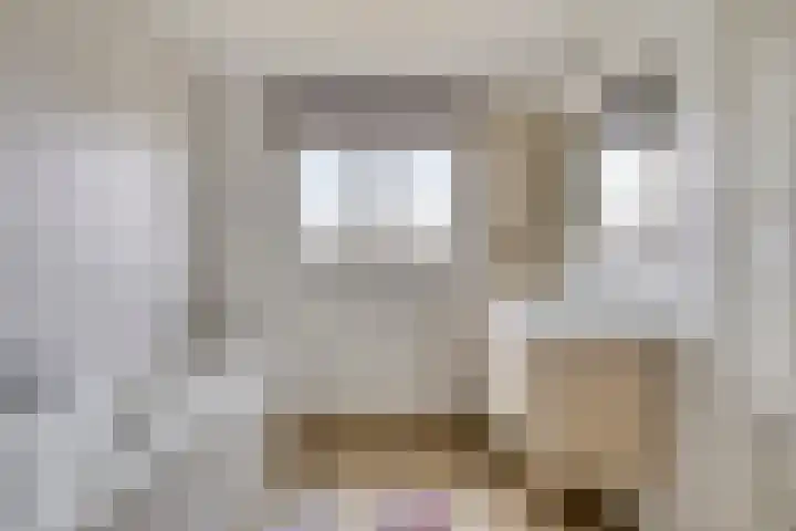 Klein Vink 4 2310 Arcen thumbnail 28