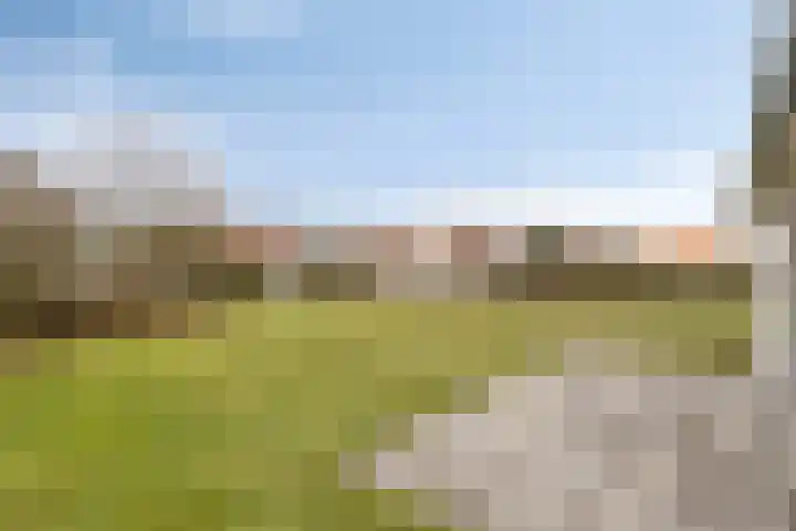 Klein Vink 4 2310 Arcen thumbnail 31