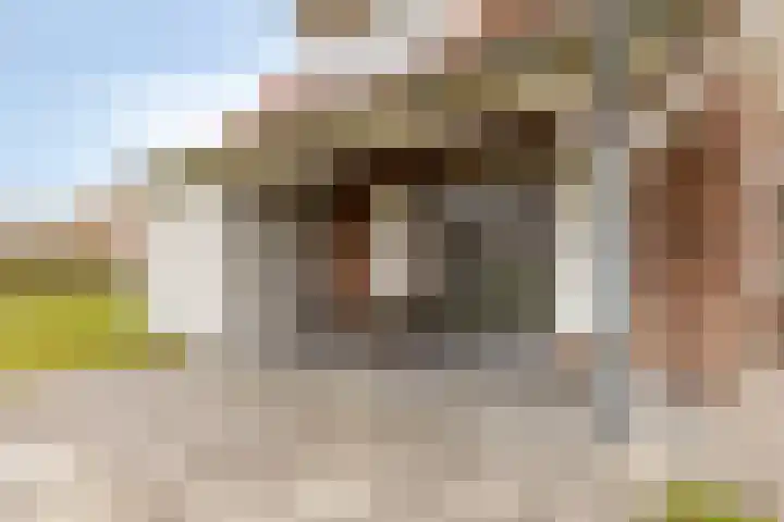 Klein Vink 4 2310 Arcen thumbnail 32