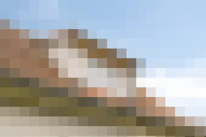 Klein Vink 4 2310 Arcen thumbnail 33