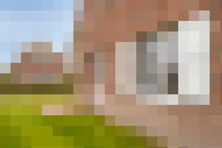 Klein Vink 4 2310 Arcen thumbnail 34