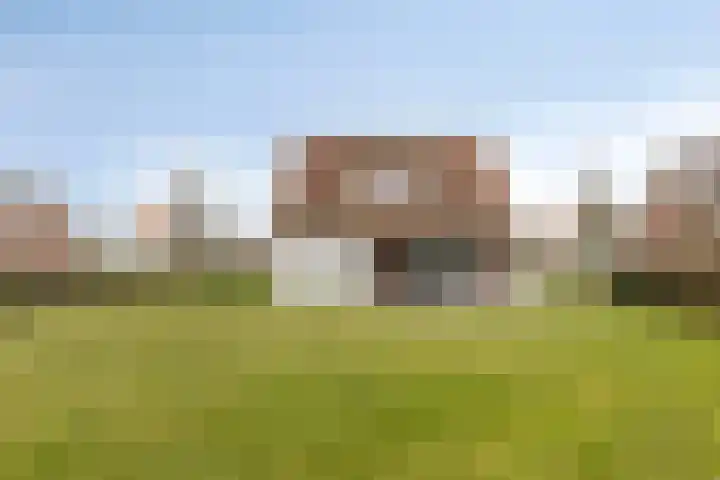 Klein Vink 4 2310 Arcen thumbnail 36