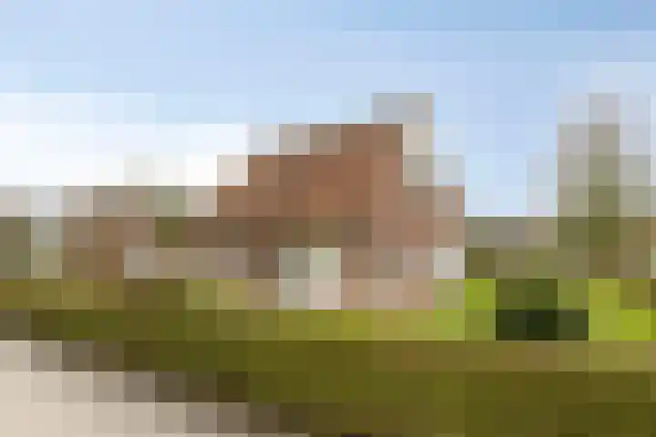 Klein Vink 4 2310 Arcen thumbnail 37