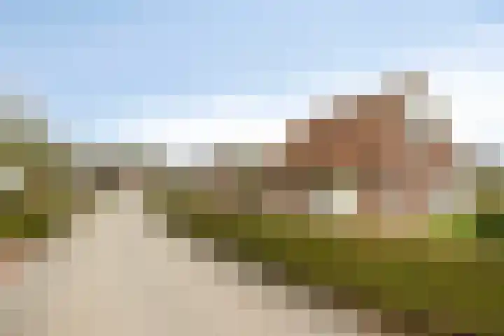 Klein Vink 4 2310 Arcen thumbnail 38