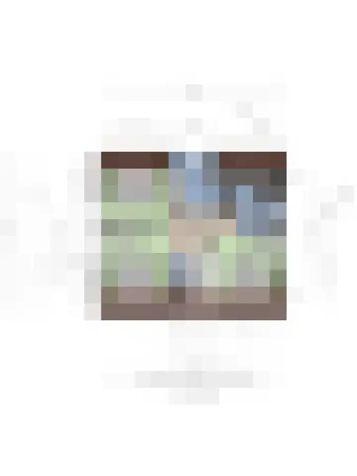 Klein Vink 4 2310 Arcen thumbnail 40