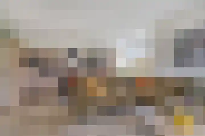 Klein Vink 4 2310 Arcen thumbnail 5