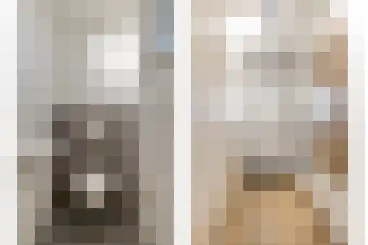 Klein Vink 4 2310 Arcen thumbnail 6