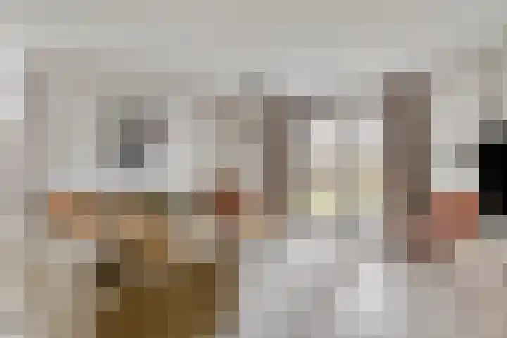 Klein Vink 4 2310 Arcen thumbnail 8