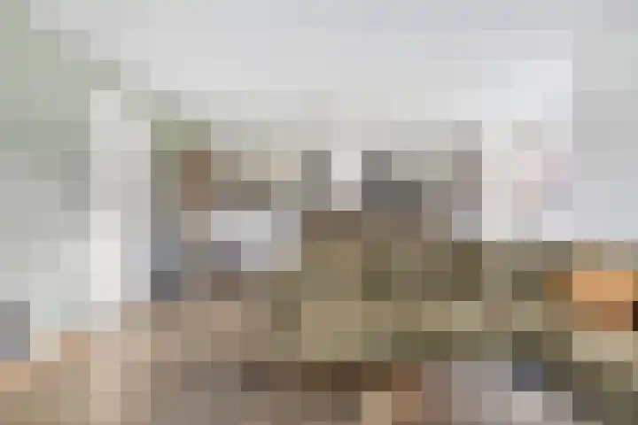 Klein Vink 4 2323 Arcen thumbnail 10