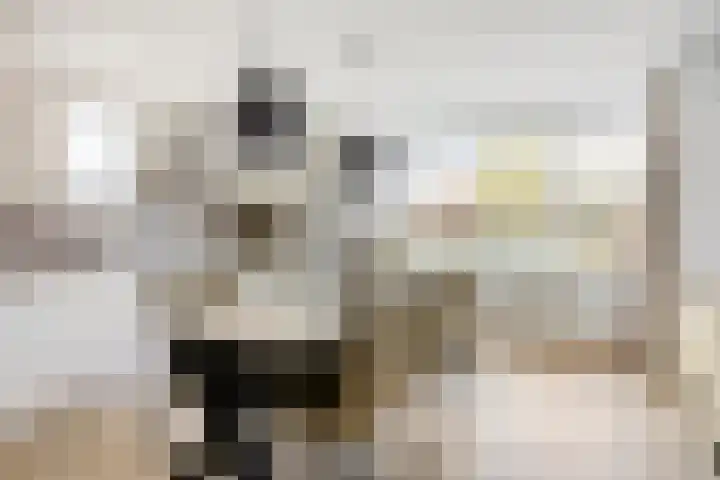 Klein Vink 4 2323 Arcen thumbnail 12