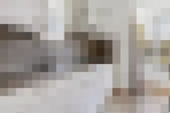 Klein Vink 4 2323 Arcen thumbnail 13