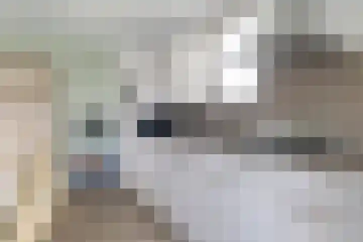Klein Vink 4 2323 Arcen thumbnail 14