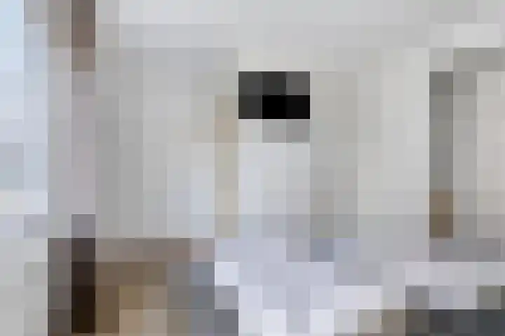 Klein Vink 4 2323 Arcen thumbnail 19