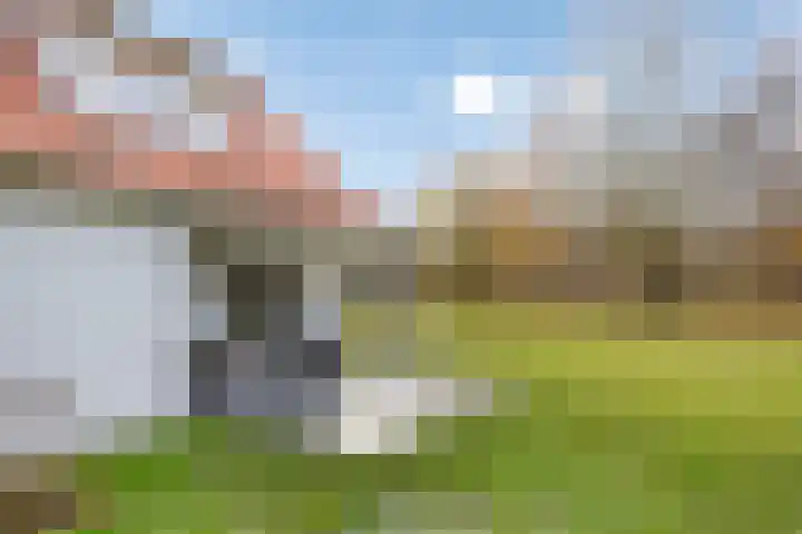 Klein Vink 4 2323 Arcen thumbnail 32