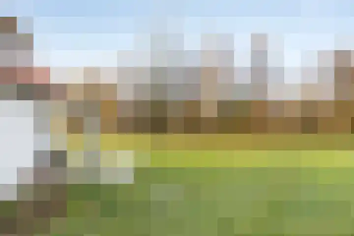 Klein Vink 4 2323 Arcen thumbnail 34