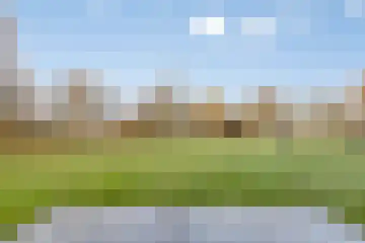 Klein Vink 4 2323 Arcen thumbnail 35