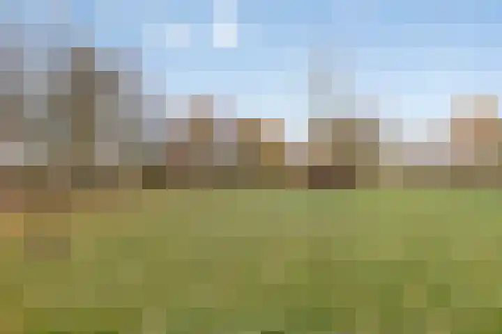 Klein Vink 4 2323 Arcen thumbnail 36