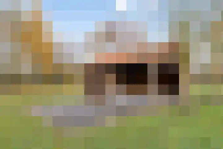 Klein Vink 4 2323 Arcen thumbnail 37