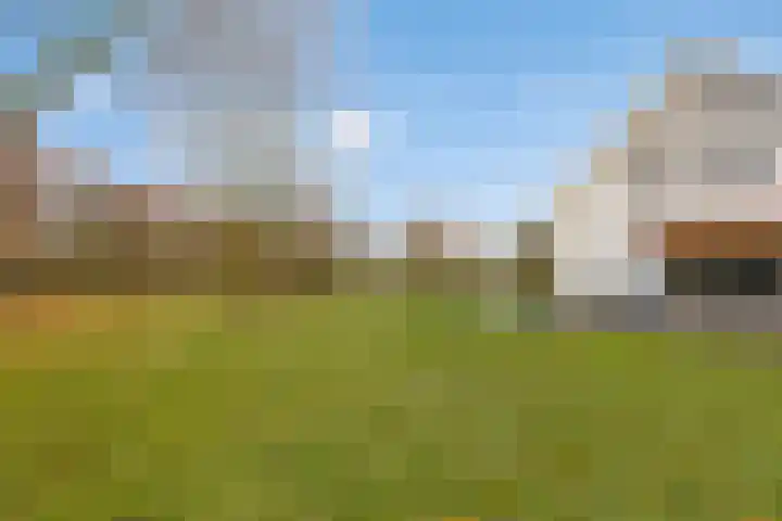 Klein Vink 4 2323 Arcen thumbnail 39