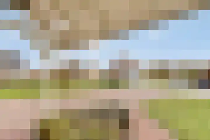 Klein Vink 4 2323 Arcen thumbnail 4