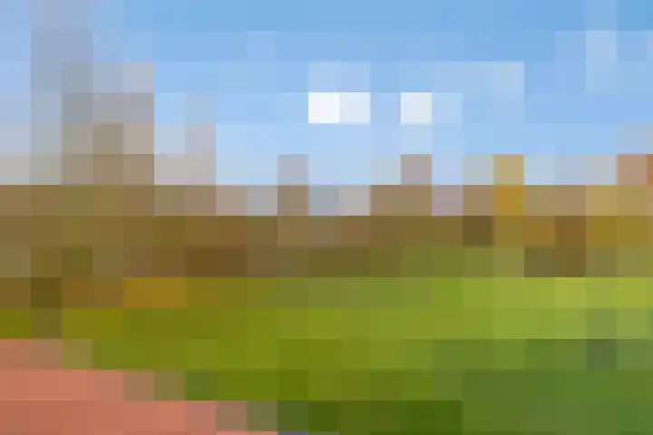 Klein Vink 4 2323 Arcen thumbnail 40