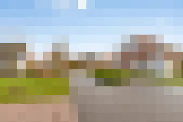 Klein Vink 4 2323 Arcen thumbnail 41