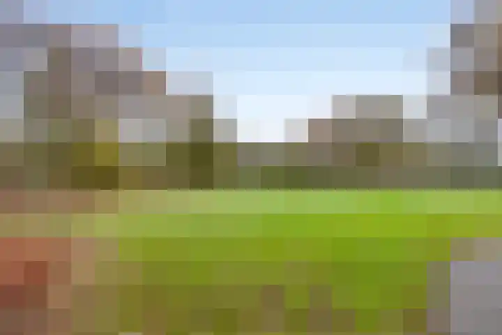 Klein Vink 4 2323 Arcen thumbnail 42