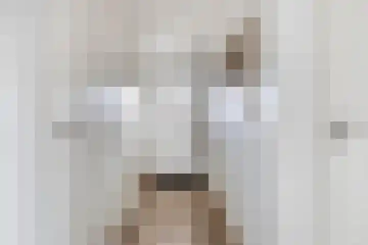 Klein Vink 4 2323 Arcen thumbnail 5