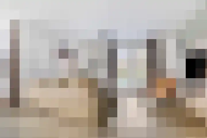 Klein Vink 4 2323 Arcen thumbnail 7
