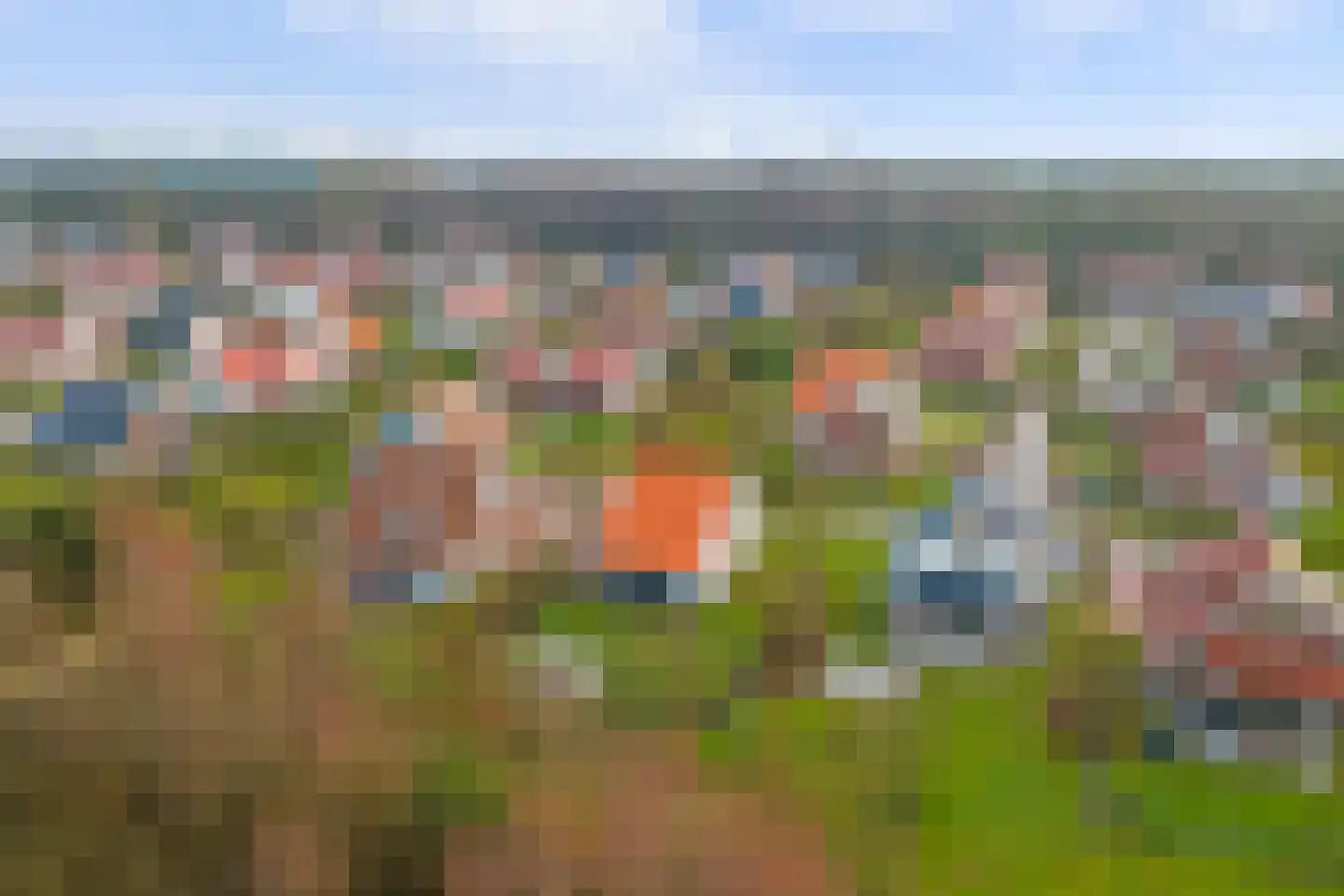 Klein Vink 4 2326 Arcen thumbnail 31