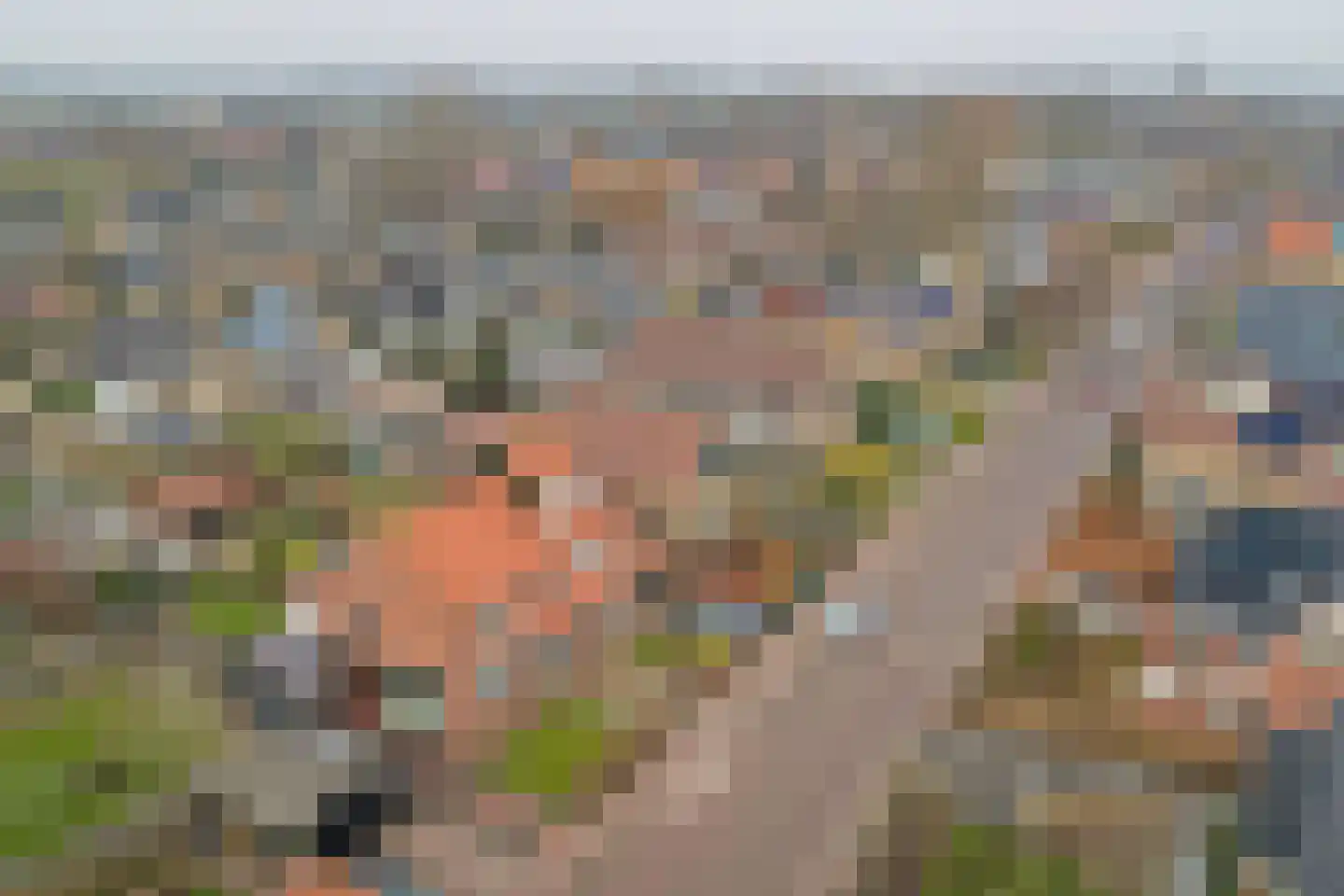 Klein Vink 4 2326 Arcen thumbnail 33