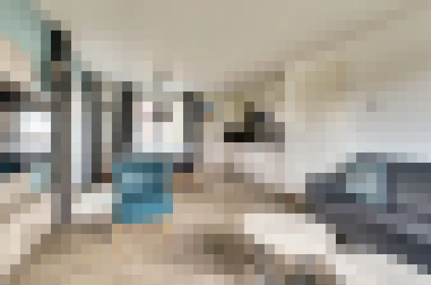 Klein Vink 4 2326 Arcen thumbnail 7