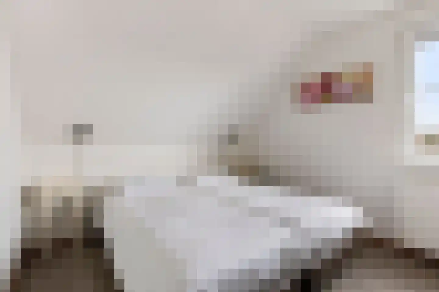 Klein Vink 4 2327 Arcen thumbnail 19