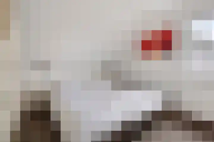 Klein Vink 4 2327 Arcen thumbnail 22