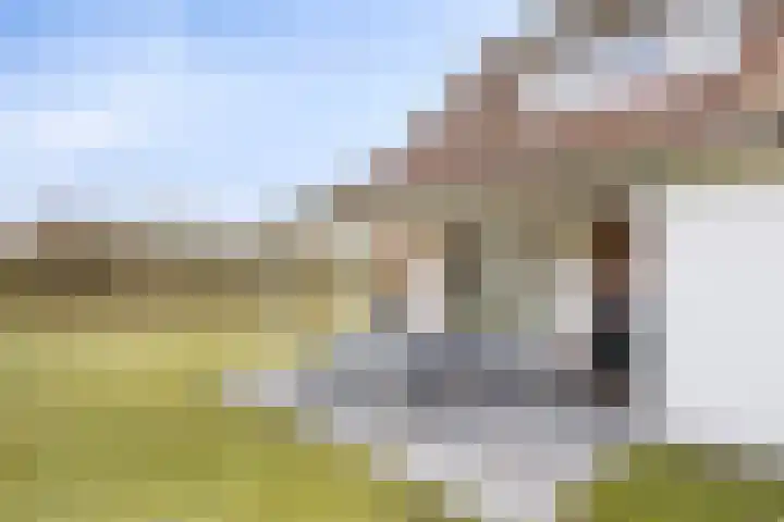 Klein Vink 4 2327 Arcen thumbnail 27