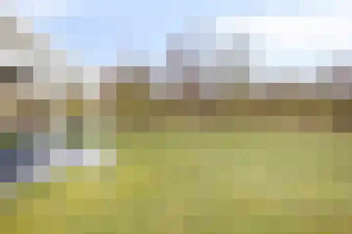 Klein Vink 4 2327 Arcen thumbnail 28