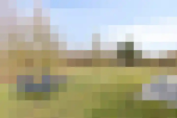 Klein Vink 4 2327 Arcen thumbnail 29