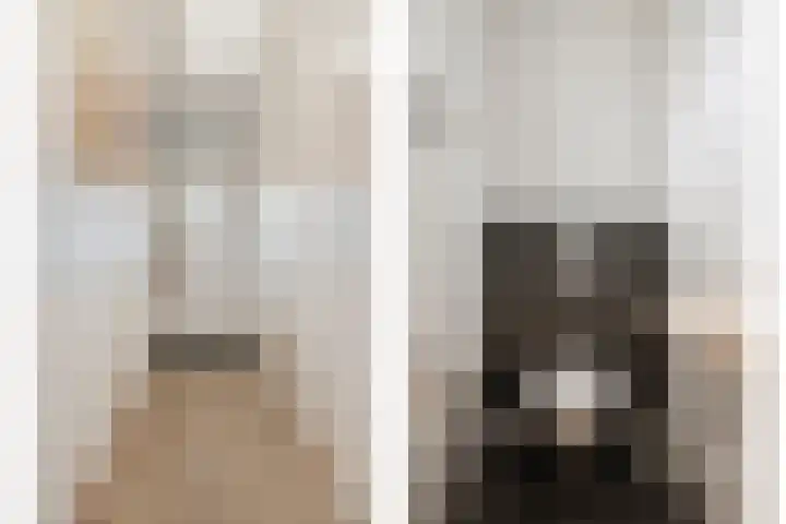 Klein Vink 4 2327 Arcen thumbnail 6