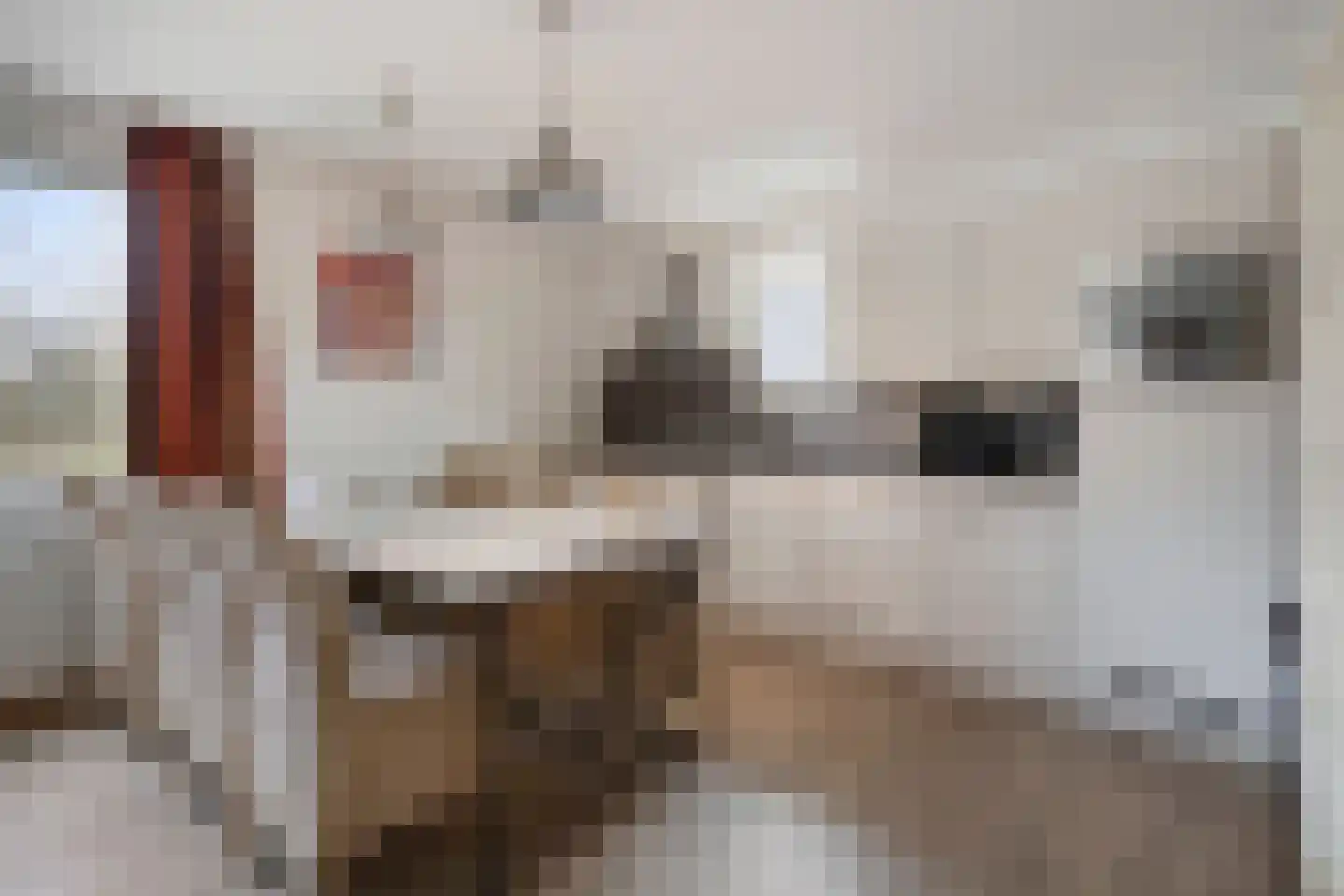 Klein Vink 4 2327 Arcen thumbnail 9