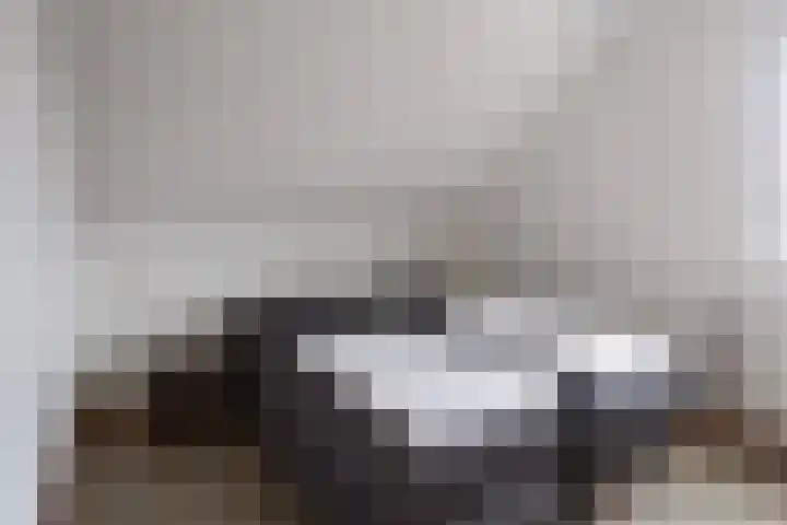 Klein Vink 4 2328 Arcen thumbnail 23