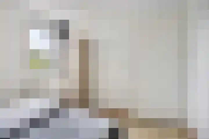 Klein Vink 4 2328 Arcen thumbnail 32