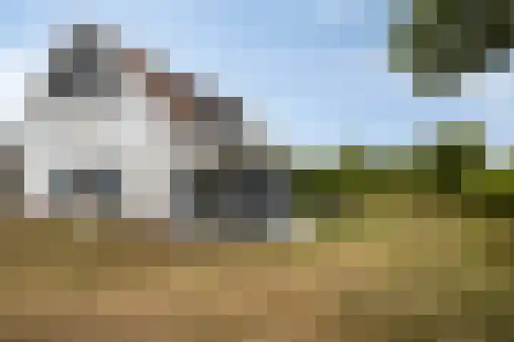 Klein Vink 4 2328 Arcen thumbnail 36